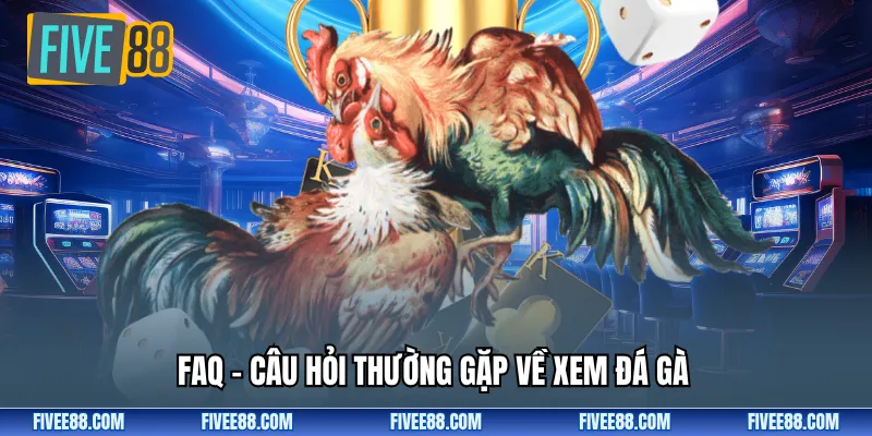 FAQ – Câu hỏi thường gặp về xem đá gà