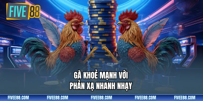 Gà khoẻ mạnh với phản xạ nhanh nhạy